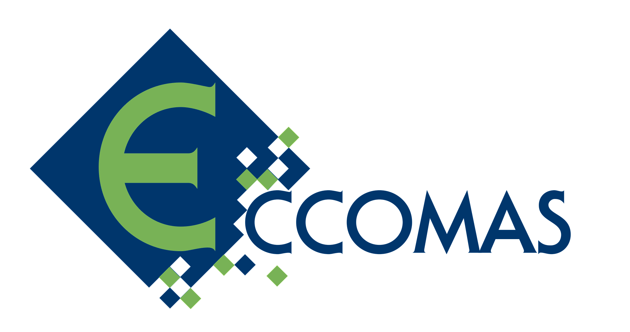 Company Name